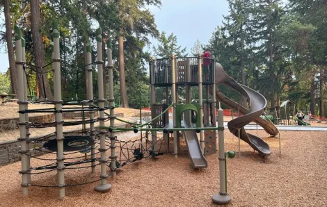 A young boy climbs the new playground structure at the Lincoln Park pllayground in West Seattle