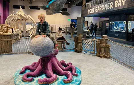 Toddler climbs on an octopus at Imagine Children's Museum in Everett