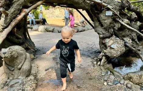 Young toddler enjoys free admission to Northwest Trek, one of many things to do in Seattle with toddlers who get free admission