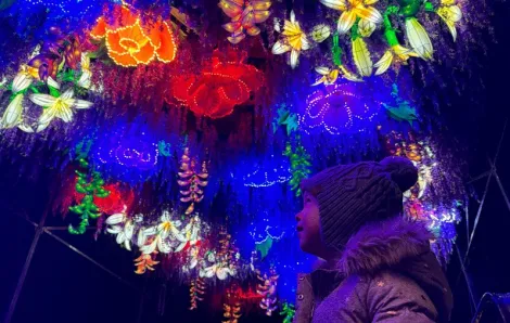 young girl looking up at "Boulevard of Blossoms" a WildLanterns display of hanging flowers at the west entrance of Woodland Park Zoo in Seattle