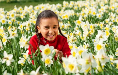 A cute girl poses among the daffodil blooms at the La Conner Daffodil Festival, a free thing to do in Seattle in March.