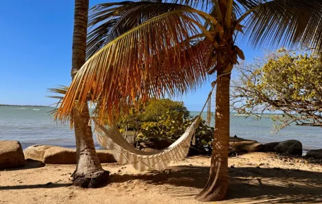 hammock garden by the beach at Hyatt Regency Grand Reserve Puerto Rico, a family-friendly resort