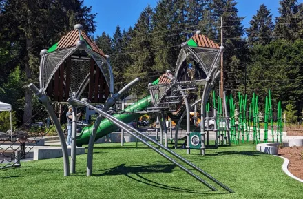 Climbing structures at Bridle Valley Creek Trails Park playground in Bellevue