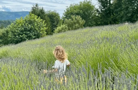 Young girl walking through a lavender field near Seattle