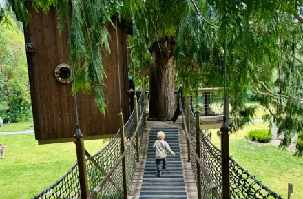 Young boy walks across the suspension bridge at a Sammamish treehouse, one of Seattle's many tree houses