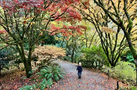 Young child walking along a nature trail at Bellevue Botanical Garden, a nearby nature walk for Eastside and Seattle families