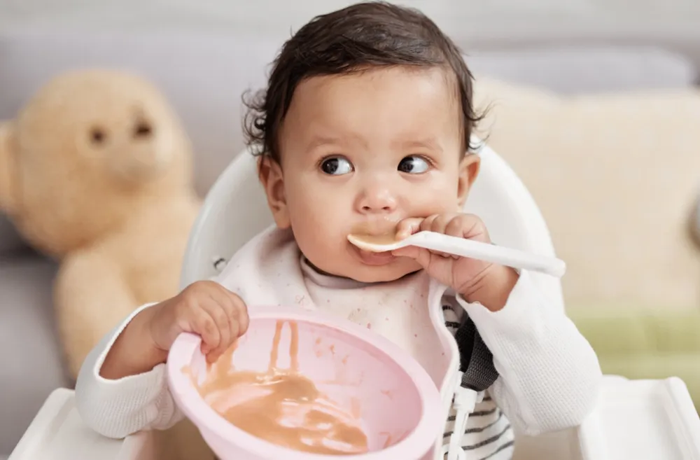 Baby in a highchair holding an empty bowl and spoon as a signal for baby led weaning