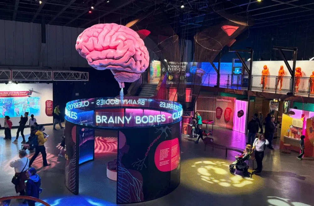 overhead view of the "Brainy Bodies" exhibit at Pacific Science Center in Seattle, a fun STEM-based activity for families