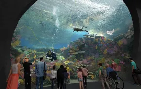 The new Ocean Pavilion exhibit at the Seattle Aquarium