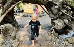 Young toddler enjoys free admission to Northwest Trek, one of many things to do in Seattle with toddlers who get free admission