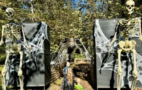 Kids walking into a haunted wood near Seattle, one of the many haunted houses and attractions for families