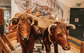 kids on oxen at Washington State History Museum, an indoor activity near Tacoma for families