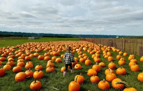 young girl walking in a pumpkin patch near Seattle, one of the many things to do in Seattle this weekend