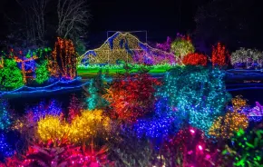 Holiday lights at Point Defiance Zoo and Aquarium for the Christmas season