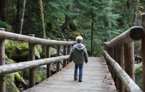 young boy on a scenic hike during winter near Seattle