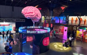 overhead view of the "Brainy Bodies" exhibit at Pacific Science Center in Seattle, a fun STEM-based activity for families