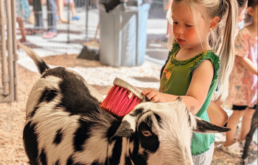 Summer Splash: Festival of Fun