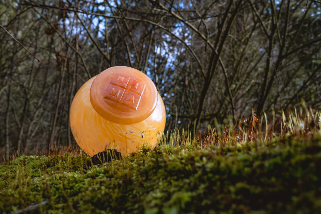BIMA’s Treasure Trek: A Glass Float Seek & Keep